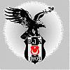 eagles - ait Kullanıcı Resmi (Avatar)