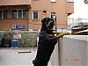 pascal@�ARSI - ait Kullanıcı Resmi (Avatar)