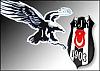 KARAKARTAL89 - ait Kullanıcı Resmi (Avatar)