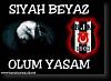 bilgehan_berk - ait Kullanıcı Resmi (Avatar)