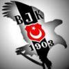 PITILESS - ait Kullanıcı Resmi (Avatar)