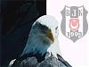 Black_Eagle_1903 - ait Kullanıcı Resmi (Avatar)