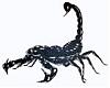 Scorpion - ait Kullanıcı Resmi (Avatar)