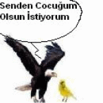AM�GO - ait Kullanıcı Resmi (Avatar)
